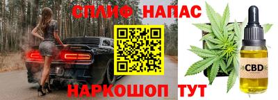 jwh Будённовск