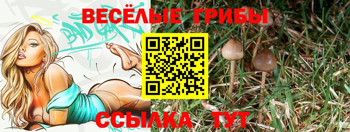 Псилоцибиновые грибы Cubensis  Вход с VPN  Рузаевка  Галлюциногенные грибы GOLDEN TEACHER 